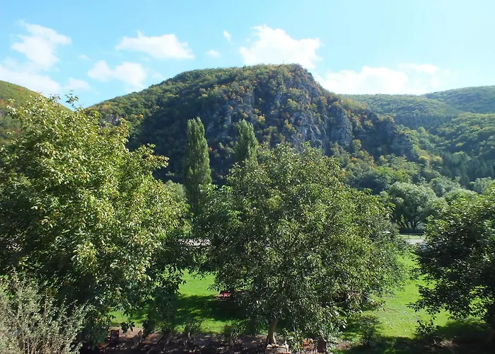 Hotel Hotel Moselkern Moselkern